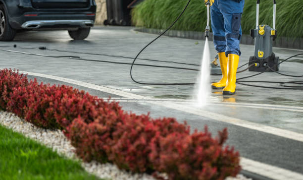 Best Patio and Deck Pressure Washing  in Watsessing, NJ